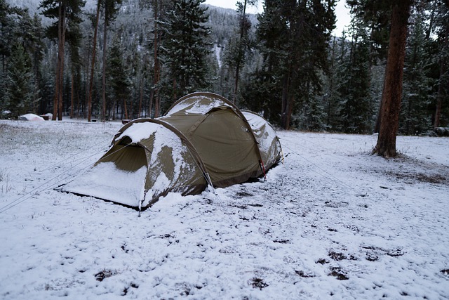 bivy-tent